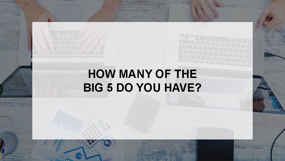 , How many of the BIG 5 do you have?